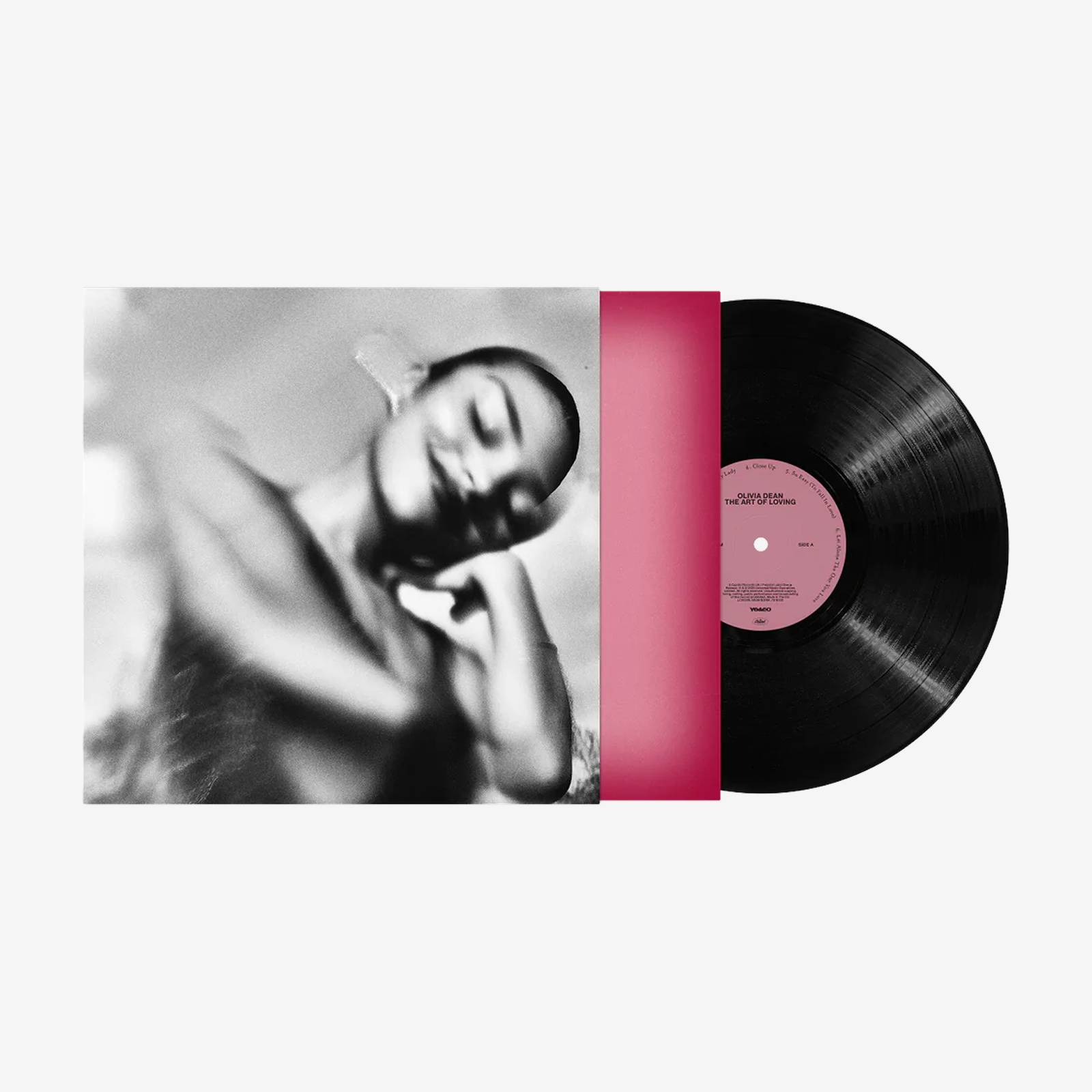 The Art of Loving Vinyl