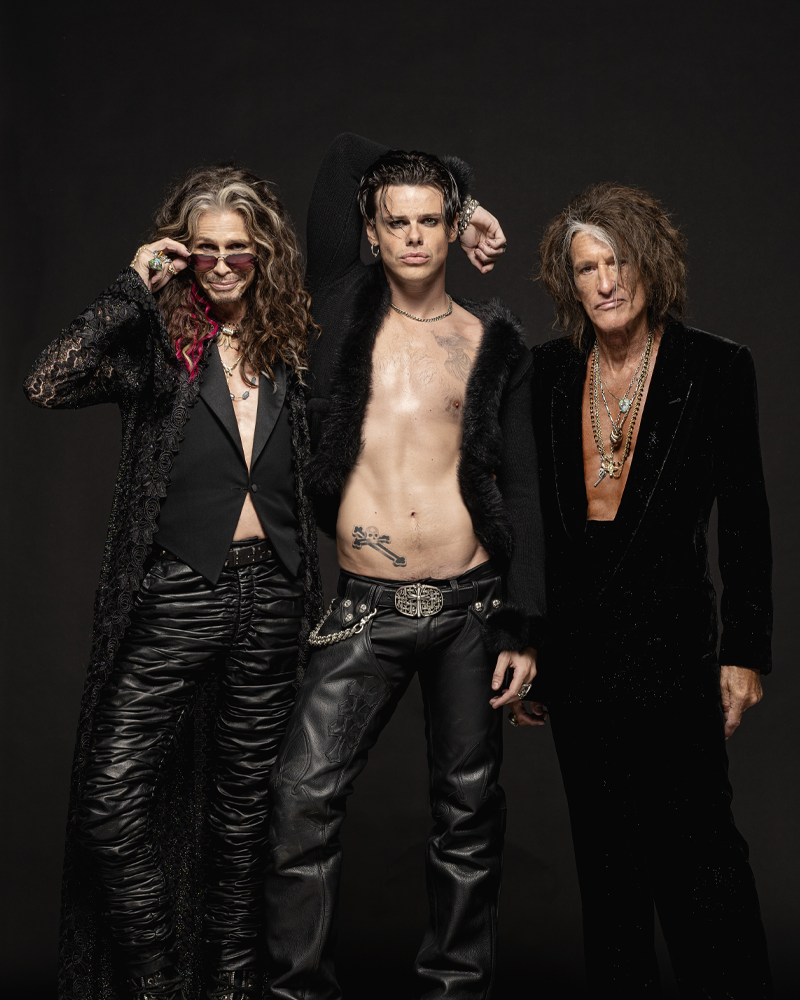 Portrait of Aerosmith